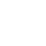 Orion logo